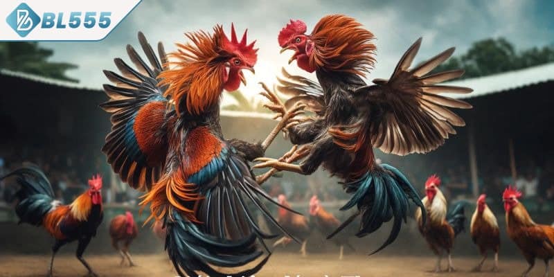 Bí quyết quản lý vốn thắng lớn