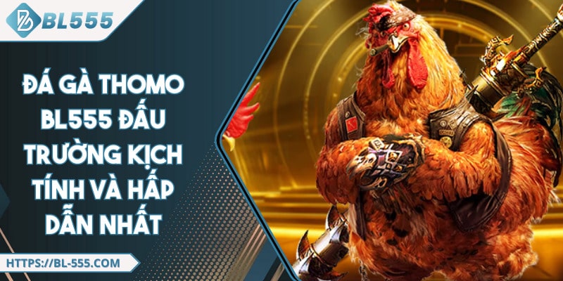 Đá Gà Thomo BL555 Đấu Trường Kịch Tính Và Hấp Dẫn Nhất