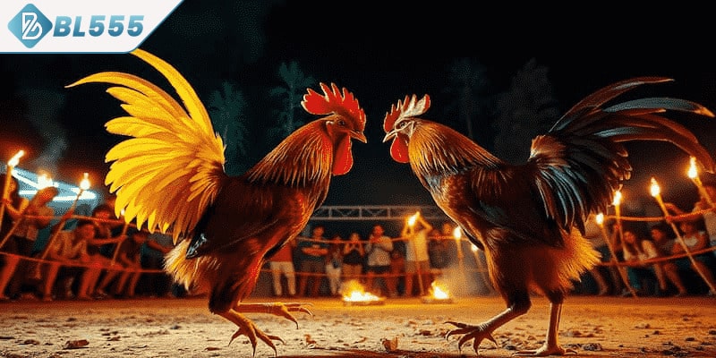 Dấu hiệu qua kỹ năng