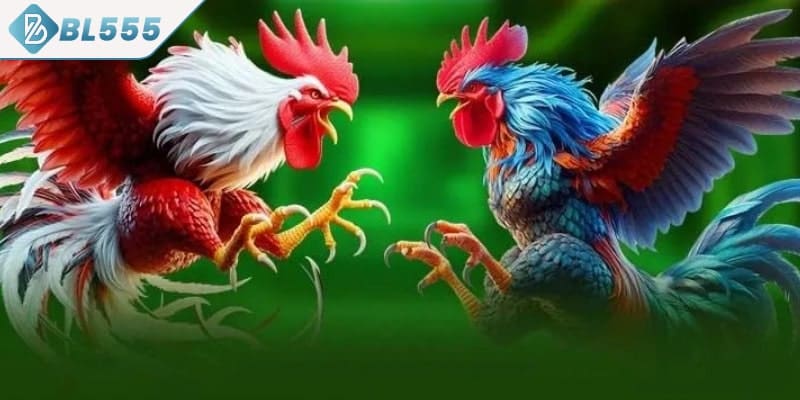 Dấu hiệu qua tinh thần chiến đấu