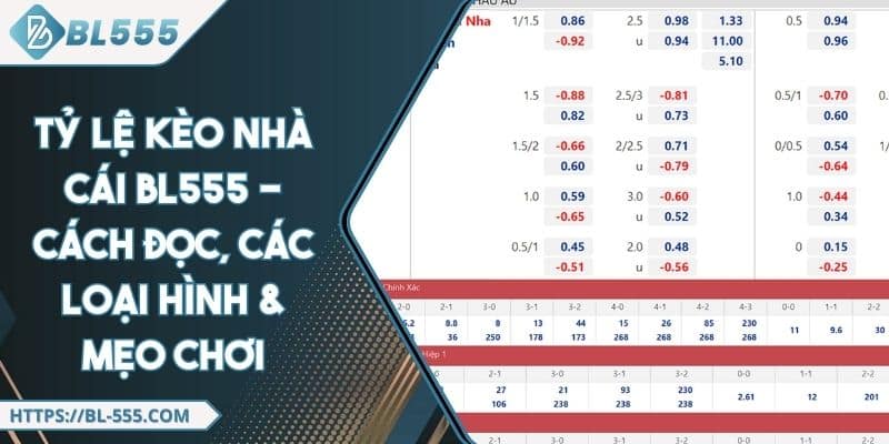 Tỷ Lệ Kèo Nhà Cái BL555 - Cách Đọc, Các Loại Hình & Mẹo Chơi